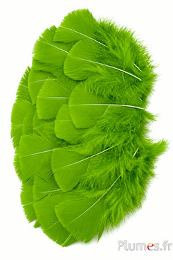 Tacchina - 6-8 cm - oliva